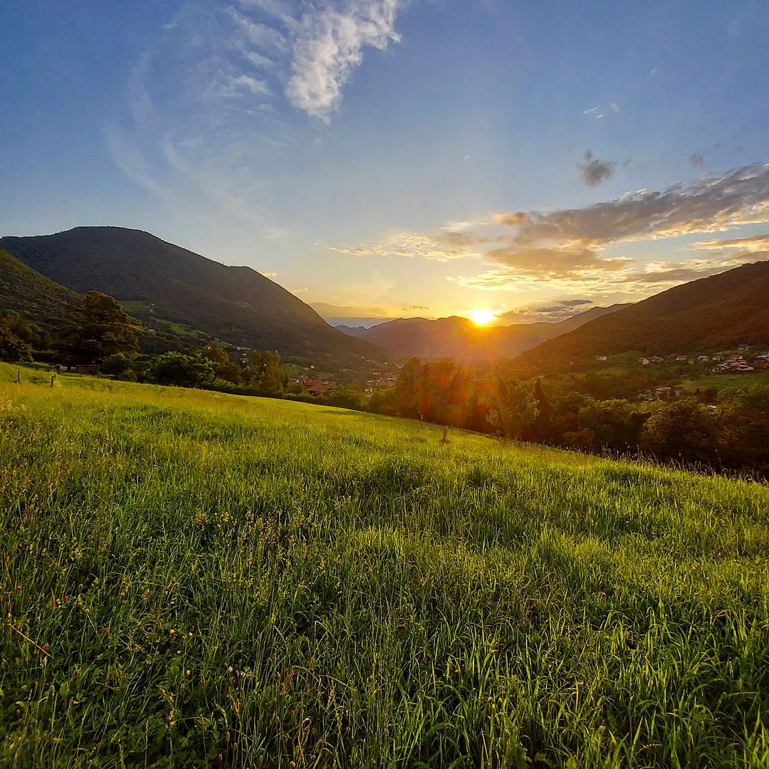 Paesaggio Abbazia di Albino_La strada verde