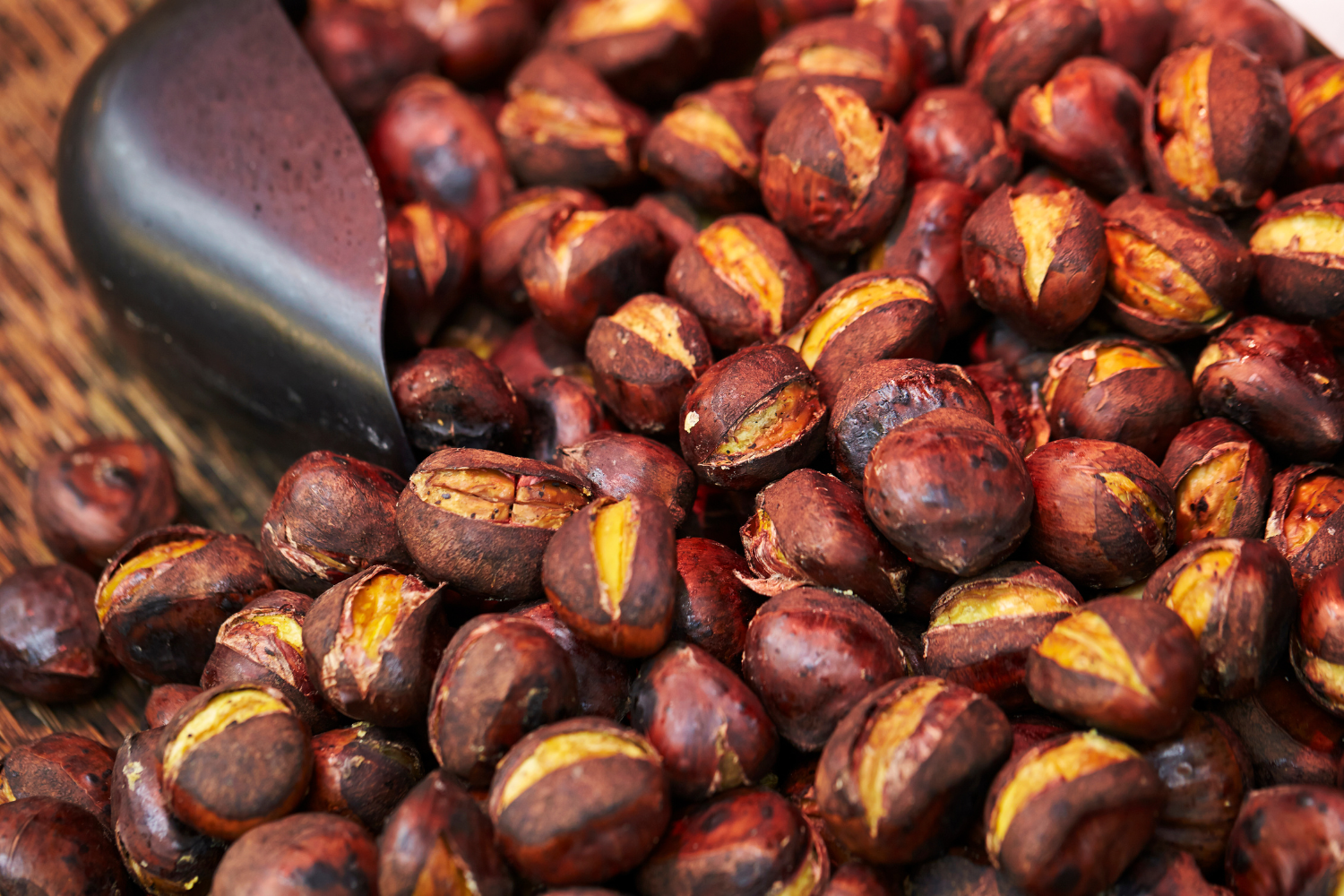 Castagnata In Oratorio Albino Ottobre 25