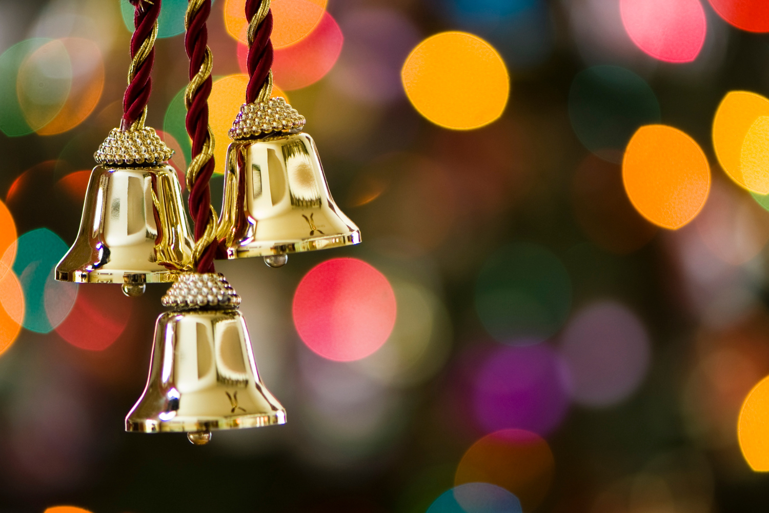 Allegrezze Di San Giuliano 20 Dicembre Albino 2025 2