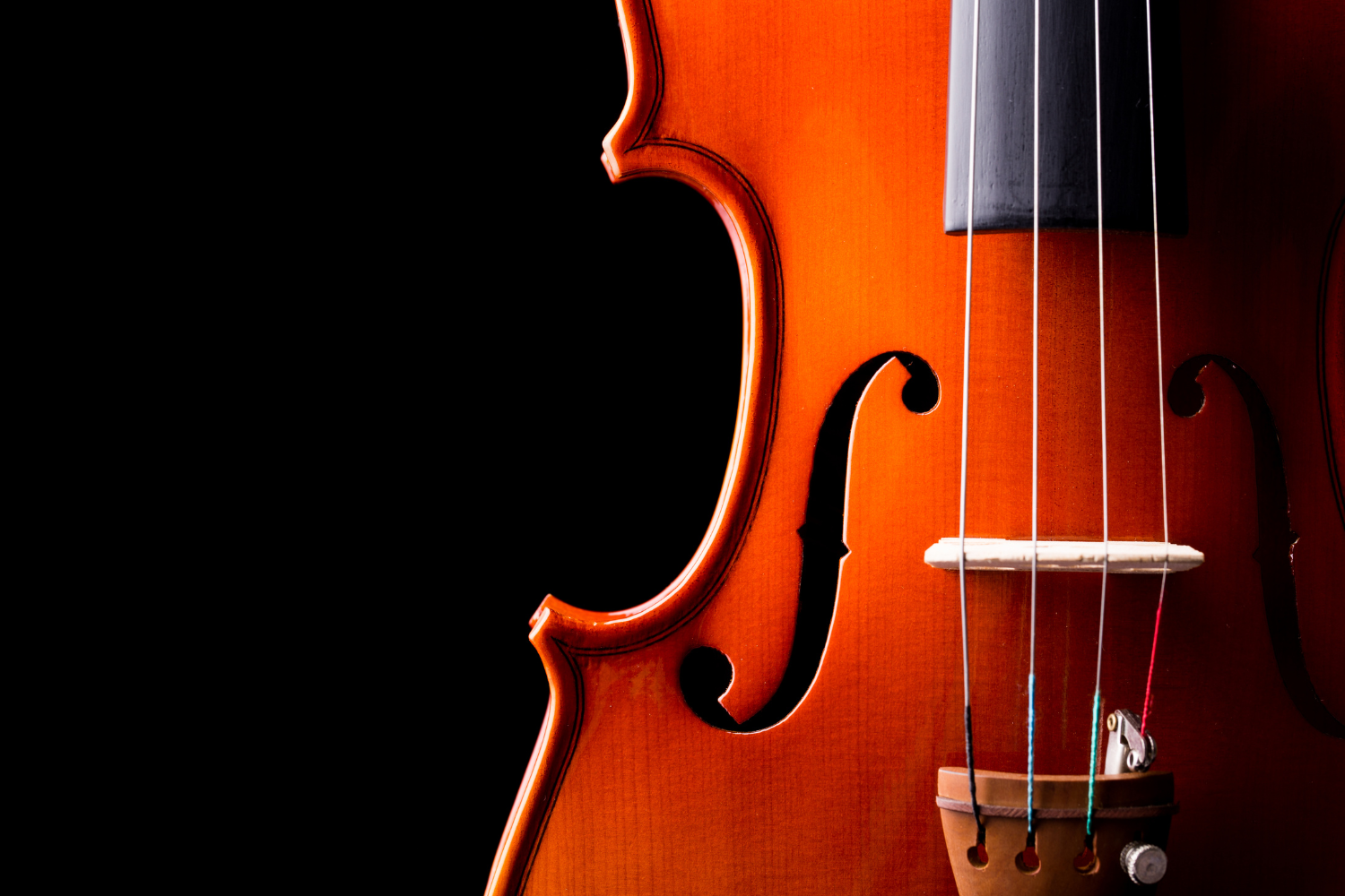 Ensemble Vocale Soli Deo Gloria Albino Gennaio 2026