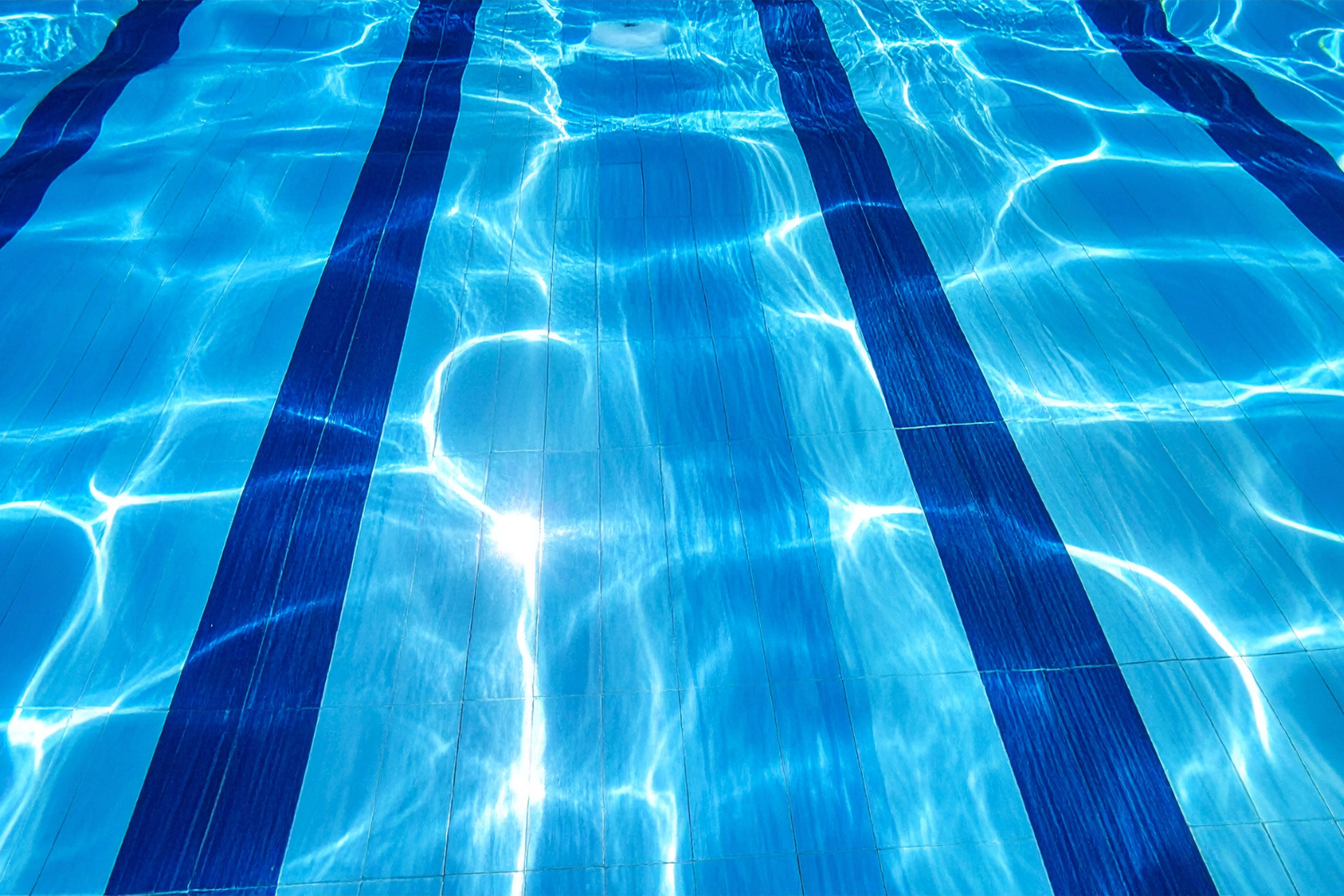 Luca Bassi Intervista Greta Carrara Albino 2026