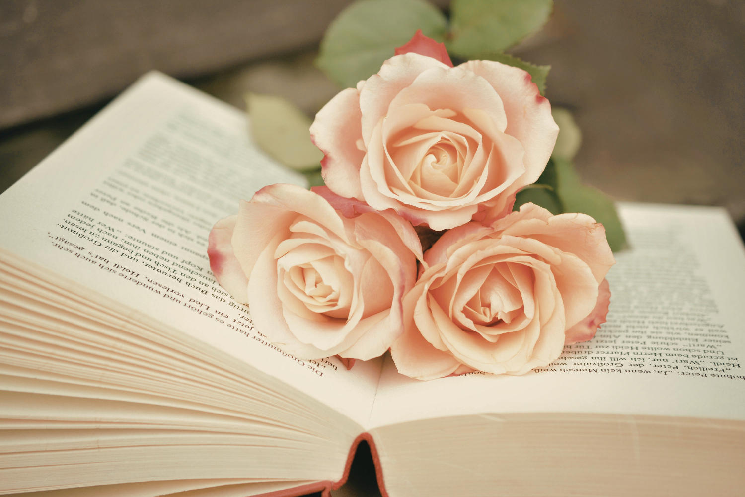 Lettura Di Poesie Amore E Libertà