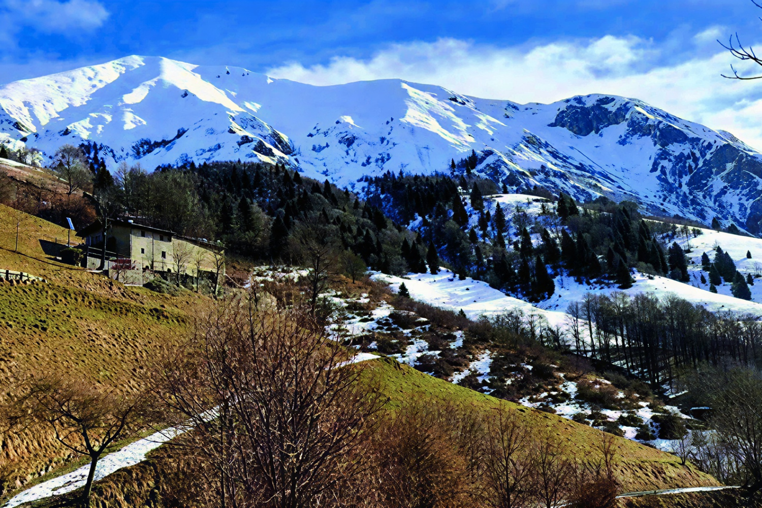 Convergenze Concomitanti