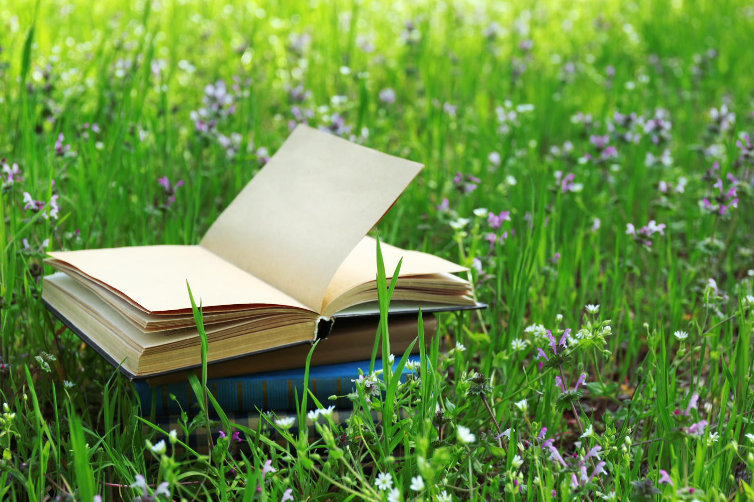 Presentazione Libro