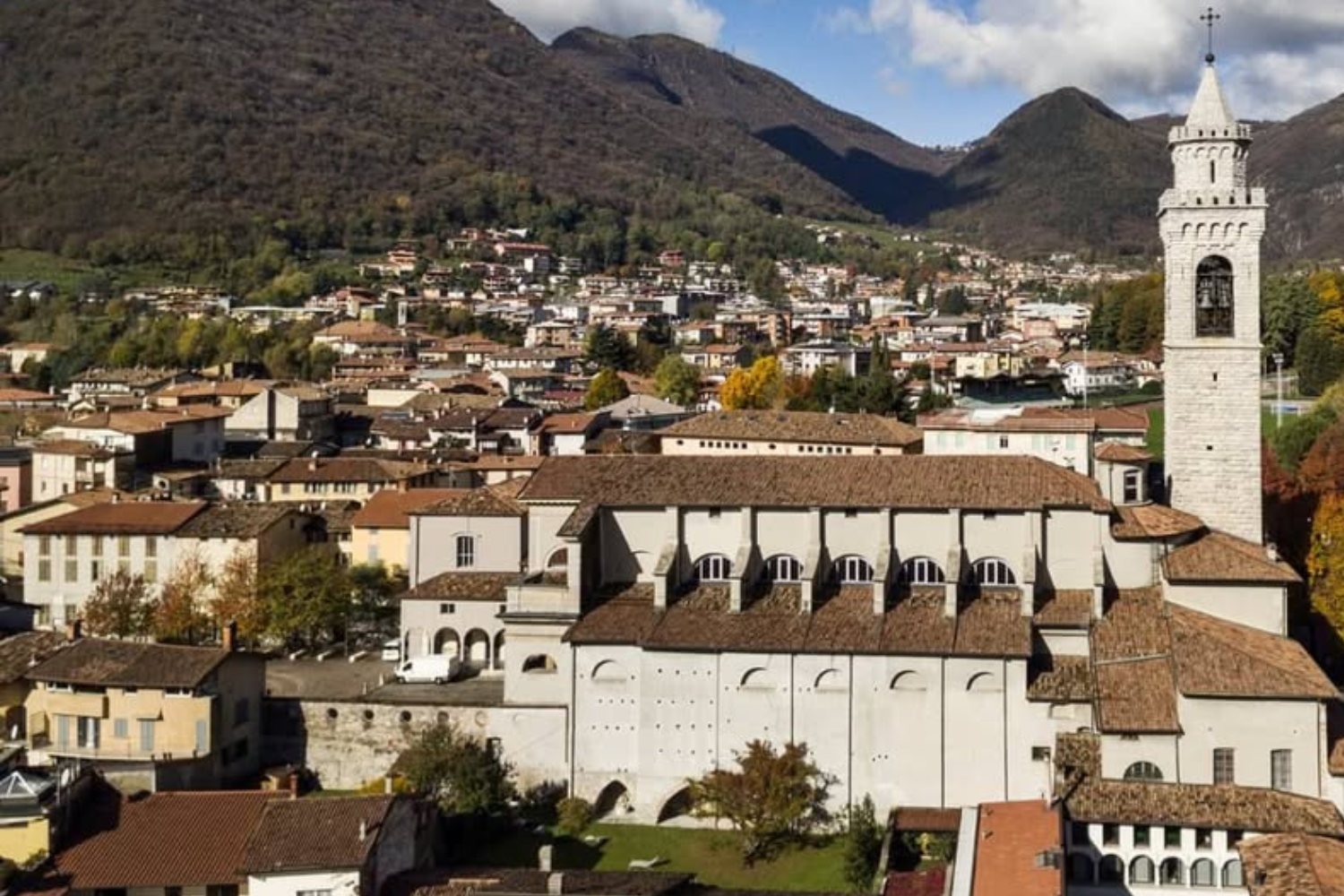 Festa Albino