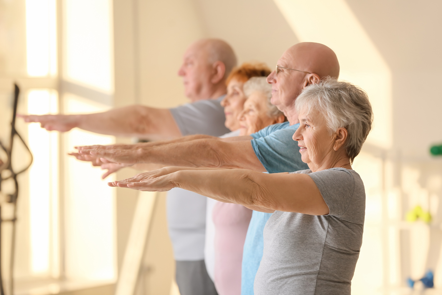 Ginnastica Per Over 65